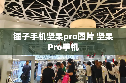 锤子手机坚果pro图片 坚果Pro手机