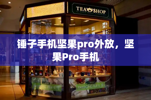 锤子手机坚果pro外放，坚果Pro手机