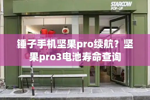 锤子手机坚果pro续航？坚果pro3电池寿命查询-第1张图片-星选测评