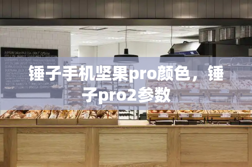 锤子手机坚果pro颜色，锤子pro2参数-第1张图片-星选测评