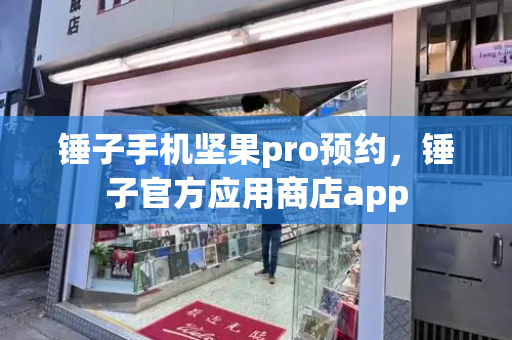 锤子手机坚果pro预约，锤子官方应用商店app