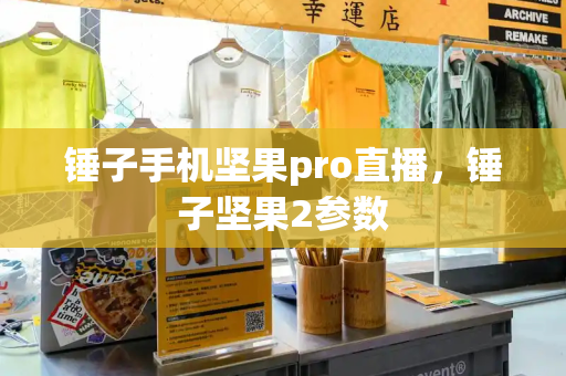 锤子手机坚果pro直播，锤子坚果2参数