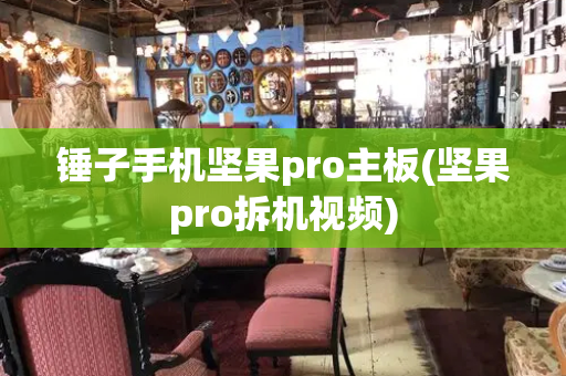 锤子手机坚果pro主板(坚果pro拆机视频)