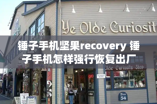 锤子手机坚果recovery 锤子手机怎样强行恢复出厂-第1张图片-星选测评
