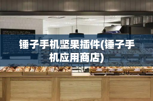 锤子手机坚果插件(锤子手机应用商店)-第1张图片-星选测评