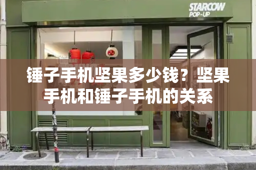 锤子手机坚果多少钱？坚果手机和锤子手机的关系-第1张图片-星选测评