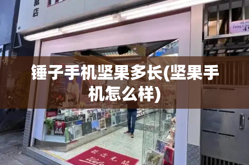 锤子手机坚果多长(坚果手机怎么样)