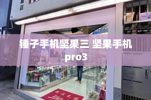 锤子手机坚果三 坚果手机pro3