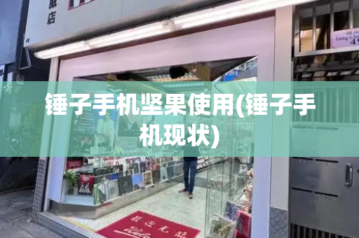 锤子手机坚果使用(锤子手机现状)-第1张图片-星选测评