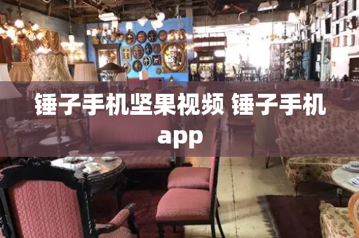锤子手机坚果视频 锤子手机app-第1张图片-星选测评