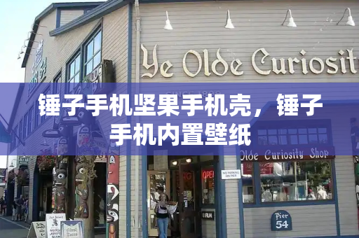 锤子手机坚果手机壳，锤子手机内置壁纸-第1张图片-星选测评