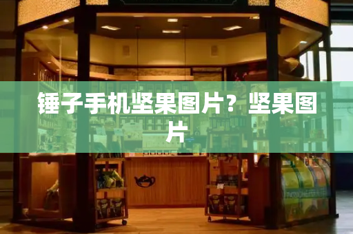 锤子手机坚果图片？坚果图片