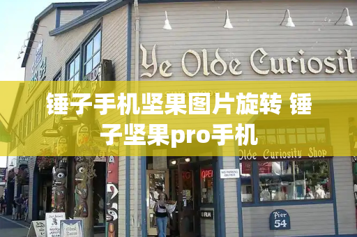 锤子手机坚果图片旋转 锤子坚果pro手机-第1张图片-星选测评