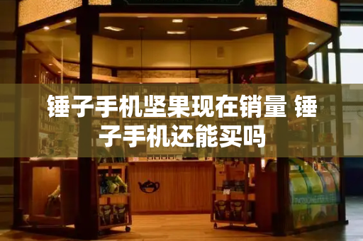 锤子手机坚果现在销量 锤子手机还能买吗-第1张图片-星选测评