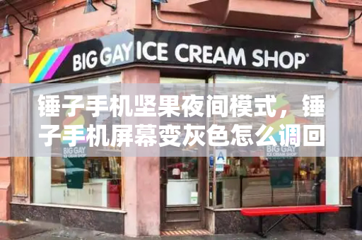 锤子手机坚果夜间模式，锤子手机屏幕变灰色怎么调回来