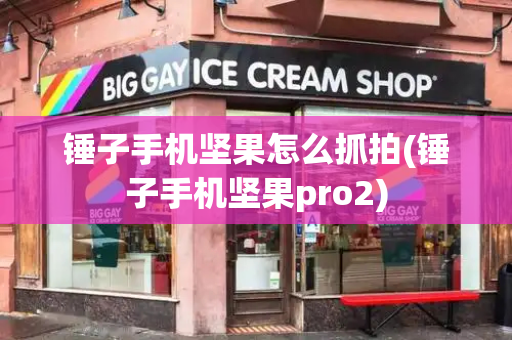 锤子手机坚果怎么抓拍(锤子手机坚果pro2)