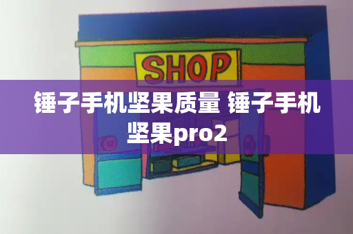 锤子手机坚果质量 锤子手机坚果pro2-第1张图片-星选测评