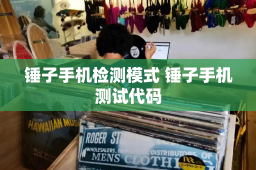 锤子手机检测模式 锤子手机测试代码