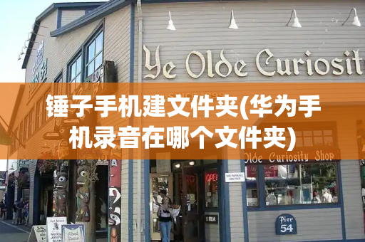锤子手机建文件夹(华为手机录音在哪个文件夹)