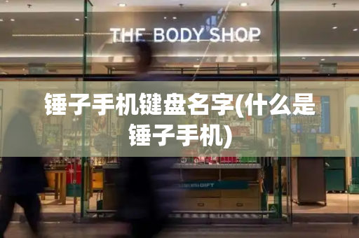 锤子手机键盘名字(什么是锤子手机)