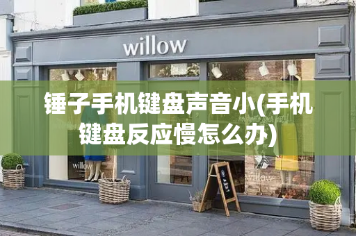 锤子手机键盘声音小(手机键盘反应慢怎么办)