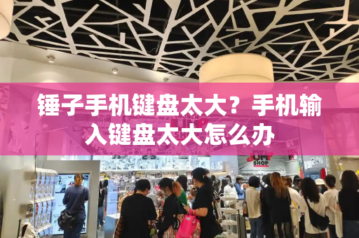 锤子手机键盘太大？手机输入键盘太大怎么办-第1张图片-星选测评