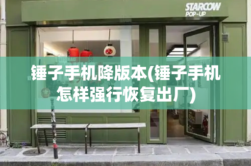 锤子手机降版本(锤子手机怎样强行恢复出厂)