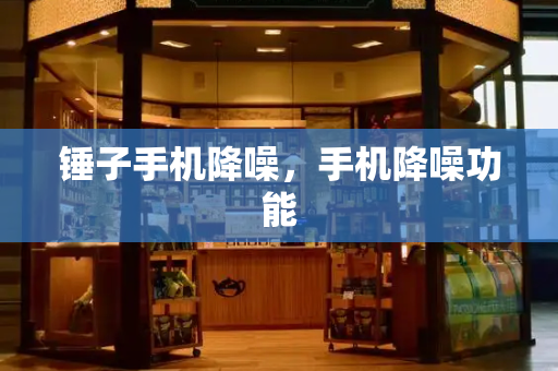 锤子手机降噪，手机降噪功能