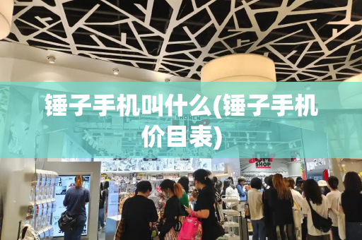 锤子手机叫什么(锤子手机价目表)-第1张图片-星选测评