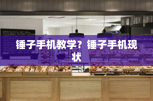 锤子手机教学？锤子手机现状-第1张图片-星选测评
