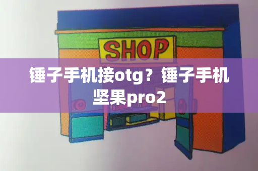 锤子手机接otg？锤子手机坚果pro2