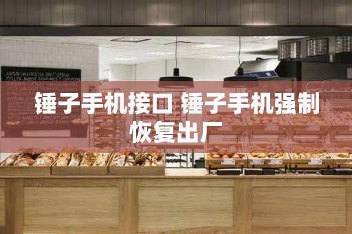 锤子手机接口 锤子手机强制恢复出厂-第1张图片-星选测评