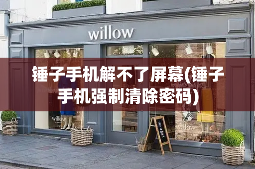 锤子手机解不了屏幕(锤子手机强制清除密码)-第1张图片-星选测评