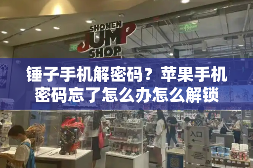 锤子手机解密码？苹果手机密码忘了怎么办怎么解锁-第1张图片-星选测评