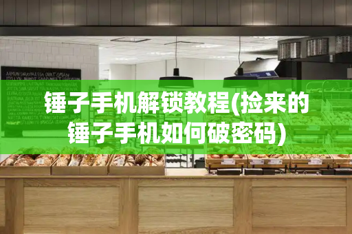 锤子手机解锁教程(捡来的锤子手机如何破密码)-第1张图片-星选测评