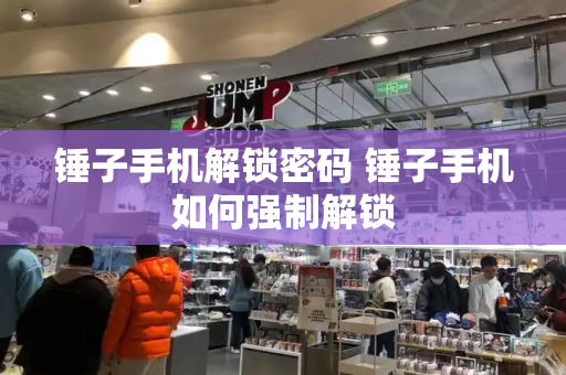 锤子手机解锁密码 锤子手机如何强制解锁-第1张图片-星选测评
