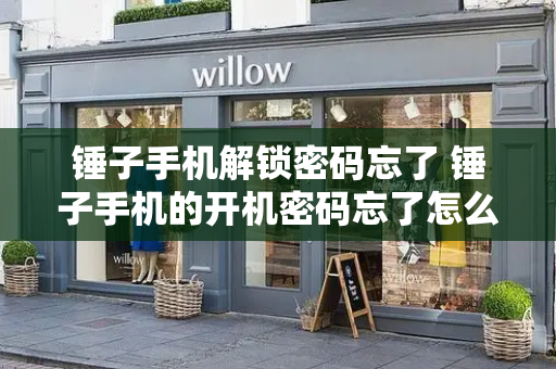 锤子手机解锁密码忘了 锤子手机的开机密码忘了怎么办-第1张图片-星选测评