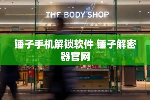 锤子手机解锁软件 锤子解密器官网-第1张图片-星选测评