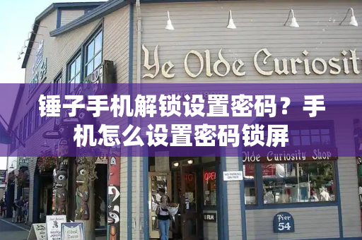 锤子手机解锁设置密码？手机怎么设置密码锁屏-第1张图片-星选测评