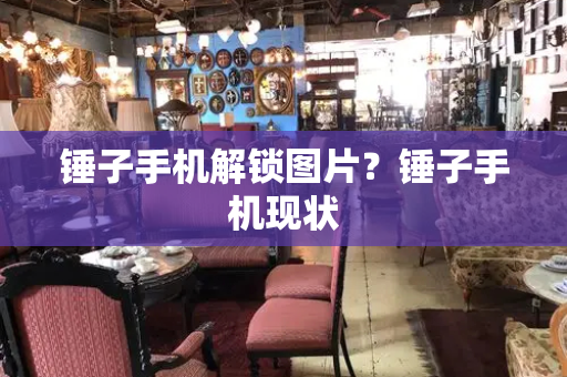 锤子手机解锁图片？锤子手机现状