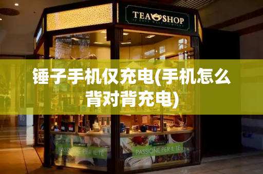 锤子手机仅充电(手机怎么背对背充电)-第1张图片-星选测评