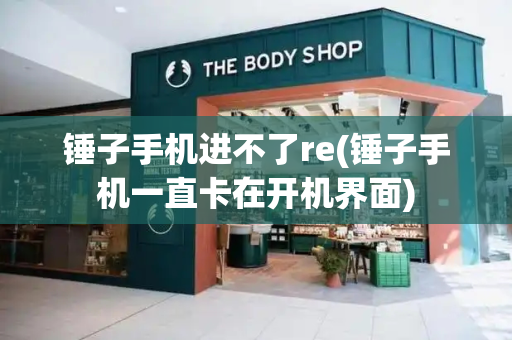 锤子手机进不了re(锤子手机一直卡在开机界面)-第1张图片-星选测评