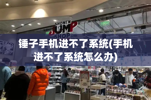 锤子手机进不了系统(手机进不了系统怎么办)-第1张图片-星选测评