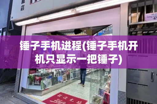 锤子手机进程(锤子手机开机只显示一把锤子)