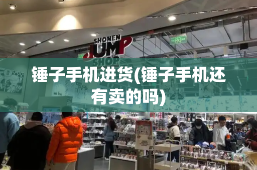 锤子手机进货(锤子手机还有卖的吗)-第1张图片-星选测评