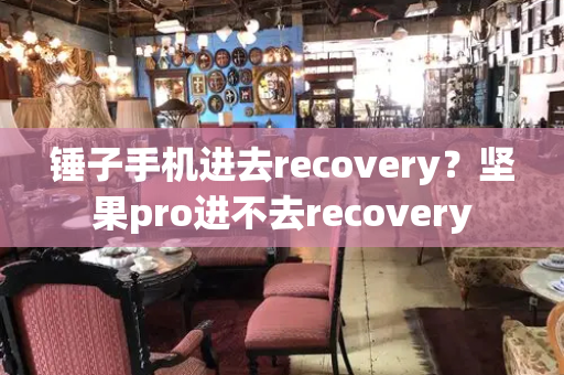锤子手机进去recovery？坚果pro进不去recovery