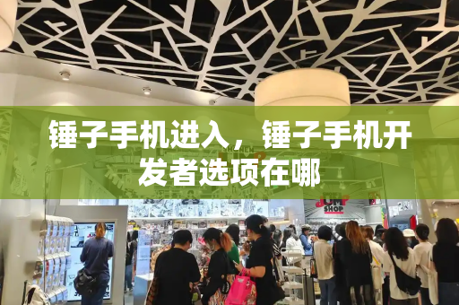 锤子手机进入，锤子手机开发者选项在哪