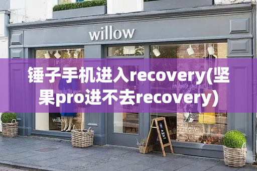 锤子手机进入recovery(坚果pro进不去recovery)