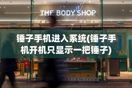 锤子手机进入系统(锤子手机开机只显示一把锤子)-第1张图片-星选测评