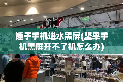 锤子手机进水黑屏(坚果手机黑屏开不了机怎么办)-第1张图片-星选测评